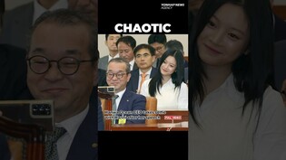 NewJeans' Hanni in spotlight even at National Assembly