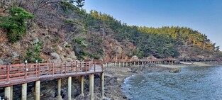 "축제와 함께 태안의 가을 만끽하세요"