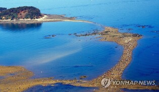 보령 무창포 '신비의 바닷길' 축제 18일 개막…19일 밤 횃불체험