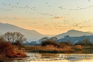 '기차 타고 낙동강 겨울철새 구경'…경남환경재단 탐조관광