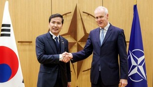 Vice defense chief meets NATO official