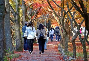 정읍시, 전문여행사와 '내장산 트레킹 관광상품' 출시