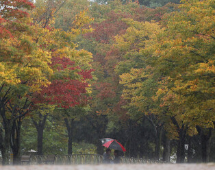 Deepening autumn