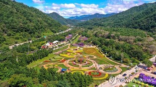 내설악 가을꽃 향연 '인제가을꽃축제' 폐막…24만명 방문