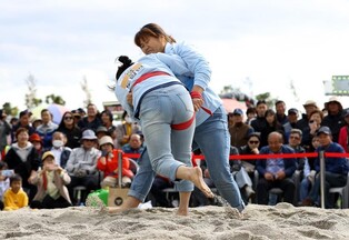 강진만 춤추는 갈대축제 26일 시작…달빛 야행까지