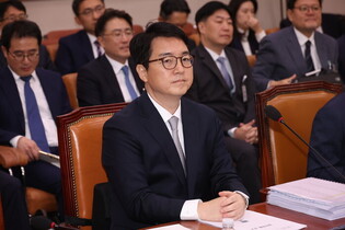 Parliamentary inspection of administration