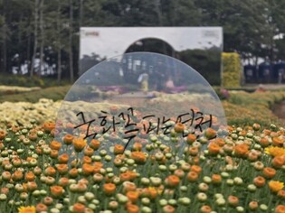 연천군, 27일까지 전곡리 선사유적지서 '국화 축제'