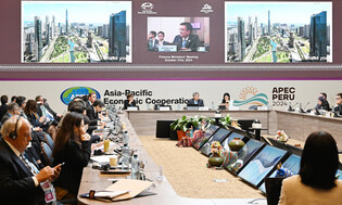 Finance minister at APEC meeting