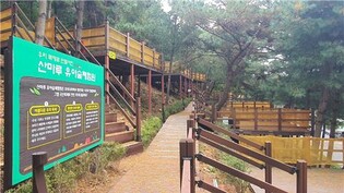 9월 개장 경기 양주 '신암저수지 숲속야영장' 인기