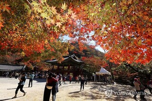 장성 백양사 산사음악회 25∼26일…뉴진스님 등 공연