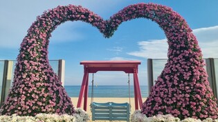바닷가에서 가을 낭만을…삼척 국화전시회, 7천여점 전시