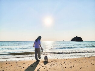 태안으로 반려동물 동반 여행 오면 최대 10만원 지원