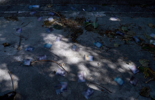 Trash balloon falls near presidential office