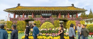 '익산 천만송이 국화축제' 성료…열흘간 74만명 방문