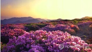 관광도시로 새롭게…양산시, 관광종합개발계획 수립용역 착수