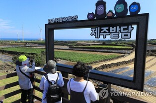 "세계중요농업유산 밭담 가치 알려요"…제주밭담축제 열린다