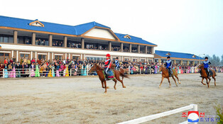 New horse riding club in N. Korea