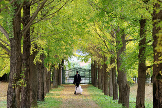 Autumn mood