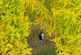 Autumn mood