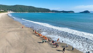 완도군, 신지 명사십리 맨발 걷기 치유길 1호 선포