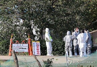 S. Korea reports season's first avian influenza case