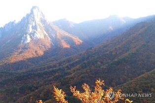 관측 이래 가장 늦었던 설악산 단풍 절정…평년보다 12일 늦어