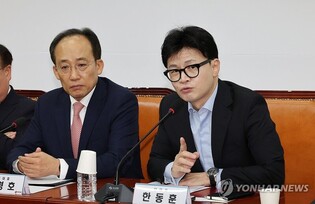 Ruling party calls for swift revision of espionage laws