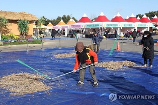 '명품 장단콩 값싸게'…파주시, 22∼24일 임진각서 축제