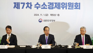 Hydrogen Economy Committee