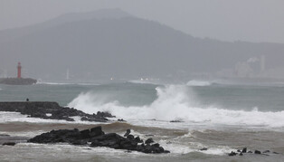 Strong wind advisory