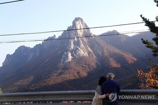 [르포] '여~름·갈·겨~울' 관광객들 초록빛 단풍에 아쉬움 한가득