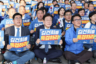 DP lawmakers rally against alleged political meddling by first lady