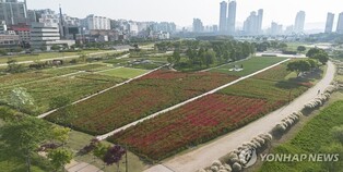 울산시, 4∼5일 싱가포르 여행업자·언론인 초청 팸투어