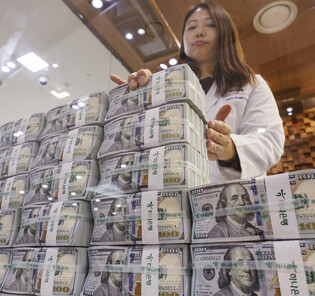 S. Korea's FX reserves in October