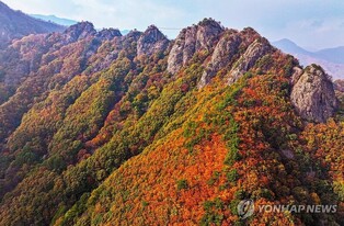[전국 레이더] 울긋불긋 단장하다 늦었나…지자체들 "늦가을 단풍구경 오세요"