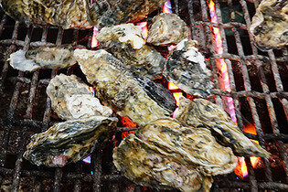 "찬 바람 불 때는 보령 천북 굴구이"…16∼17일 축제