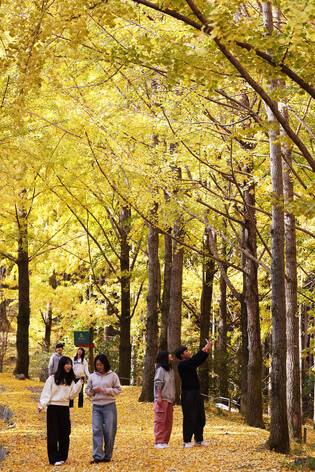 Deepening autumn