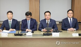 Gov't to focus on strengthening risk management amid increased market volatility