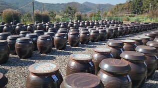 (Yonhap Feature) Young Korean 'jang' maker hopes to bring back grandmother's taste in Korean traditional soybean sauce