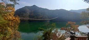 제천시청 공무원 '옥순봉 출렁다리' 입장료 횡령 의혹