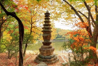 창경궁 연못 옆 보물 석탑은…"中서 만들어 일제강점기에 옮겨"