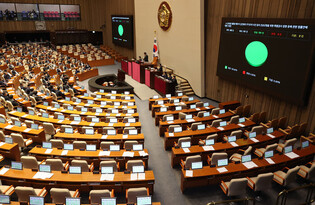 Bill calling for special probe into first lady passed for 3rd time
