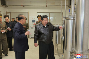 N. Korean leader inspects local factories under construction