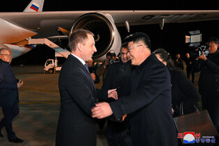 Russian delegation visits N. Korea