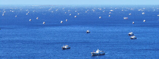 Chinese fishing boats off Jeju Island