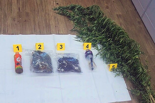 Illegal Thai stayers nabbed for drug trafficking
