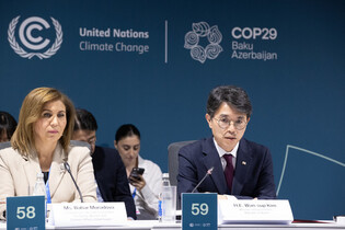 S. Korean environment minister at climate change meeting