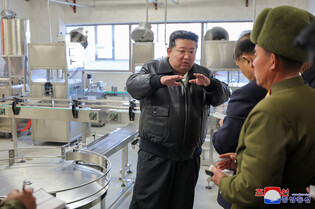 N. Korean leader inspects local factories under construction
