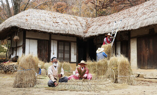 Replacing straw thatch for winter