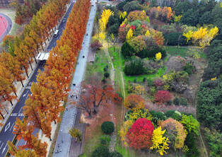 Autumn splendor